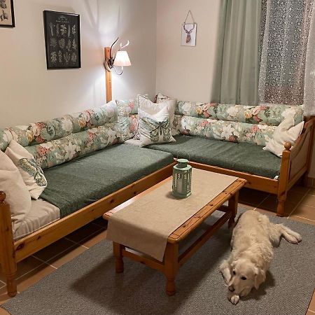 Hundefreundliche Bergwohnung Neben Der Skipiste - Mittelstation Skigebiet Gerlitzen Kanzelhohe Zewnętrze zdjęcie