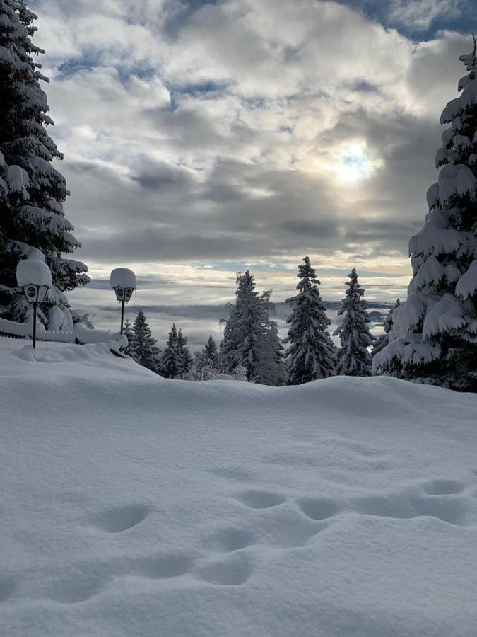 Hundefreundliche Bergwohnung Neben Der Skipiste - Mittelstation Skigebiet Gerlitzen Kanzelhohe Zewnętrze zdjęcie