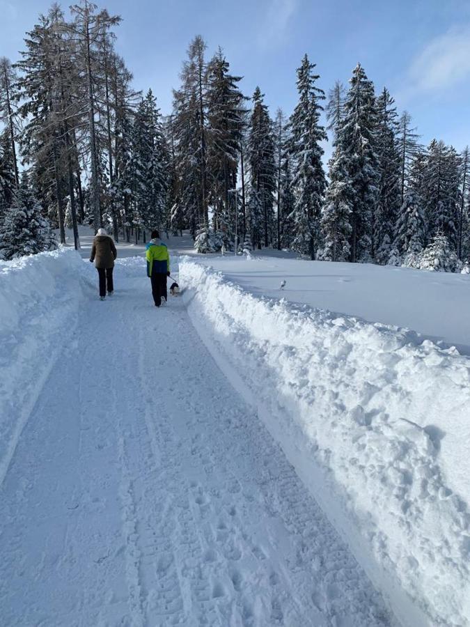 Hundefreundliche Bergwohnung Neben Der Skipiste - Mittelstation Skigebiet Gerlitzen Kanzelhohe Zewnętrze zdjęcie