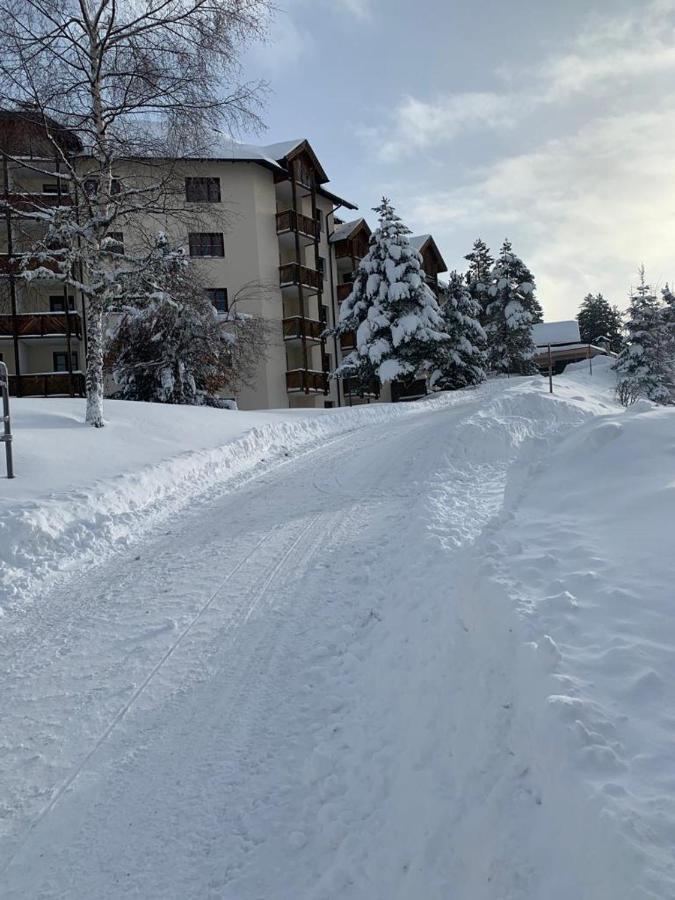 Hundefreundliche Bergwohnung Neben Der Skipiste - Mittelstation Skigebiet Gerlitzen Kanzelhohe Zewnętrze zdjęcie