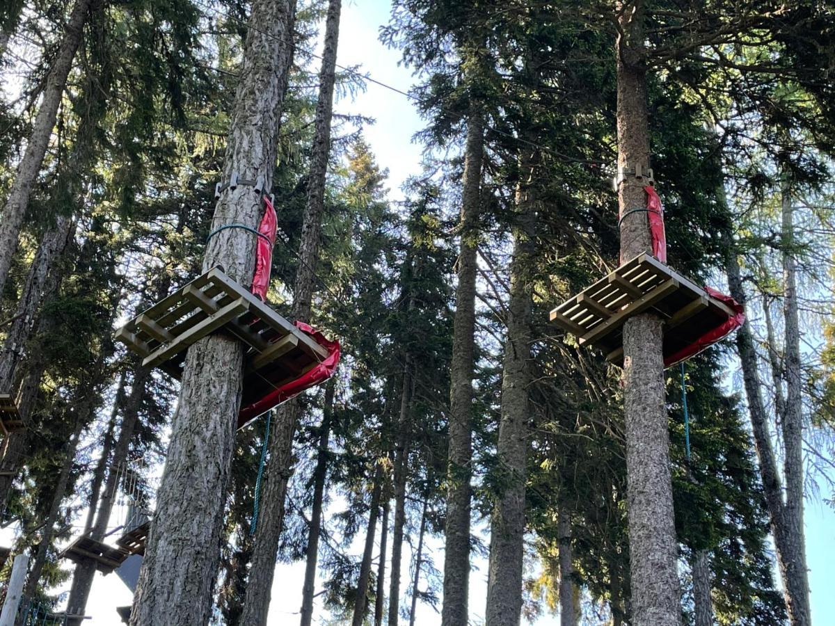 Hundefreundliche Bergwohnung Neben Der Skipiste - Mittelstation Skigebiet Gerlitzen Kanzelhohe Zewnętrze zdjęcie